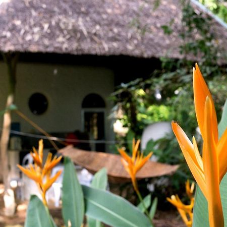 Kim'S Garden Anda (Visayas) Exterior foto