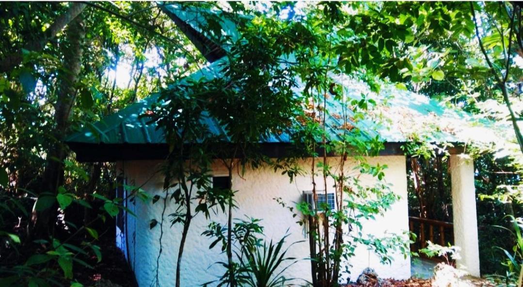 Kim'S Garden Anda (Visayas) Exterior foto