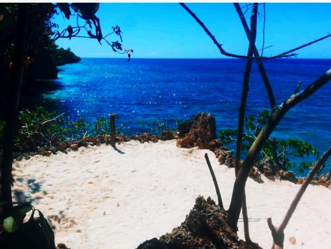 Kim'S Garden Anda (Visayas) Exterior foto