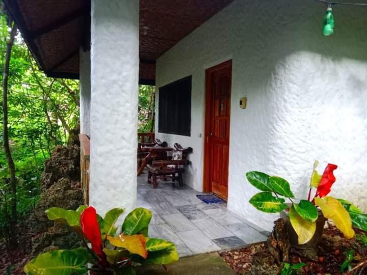 Kim'S Garden Anda (Visayas) Exterior foto