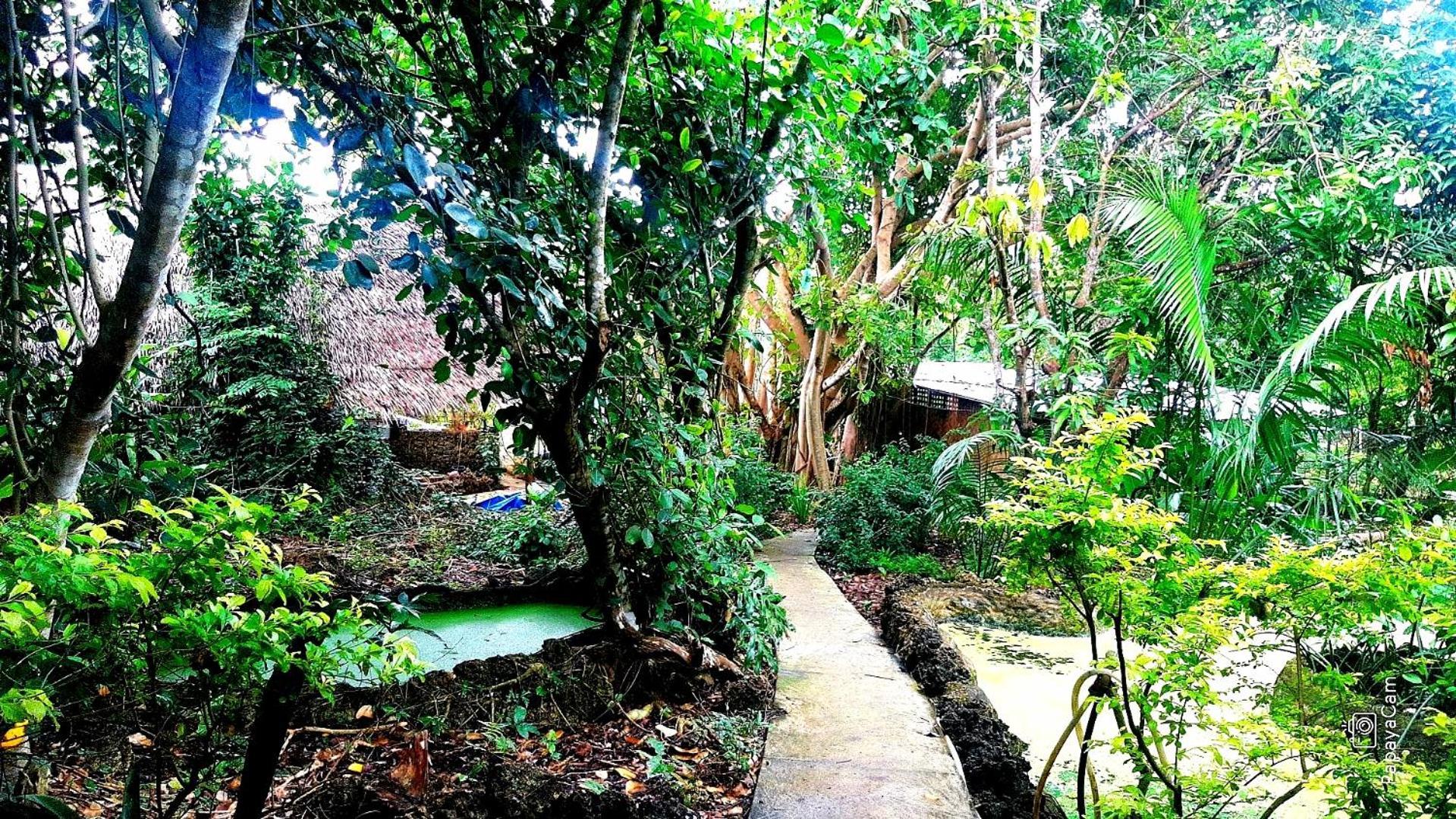 Kim'S Garden Anda (Visayas) Exterior foto