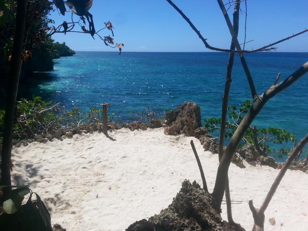 Kim'S Garden Anda (Visayas) Quarto foto