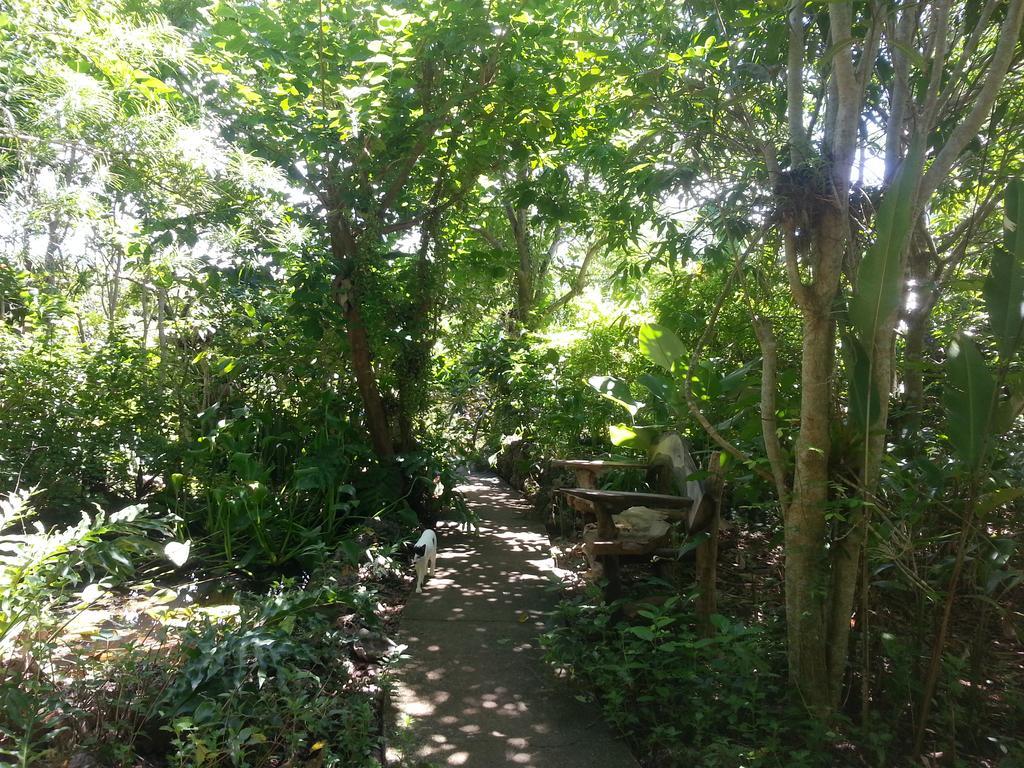 Kim'S Garden Anda (Visayas) Exterior foto