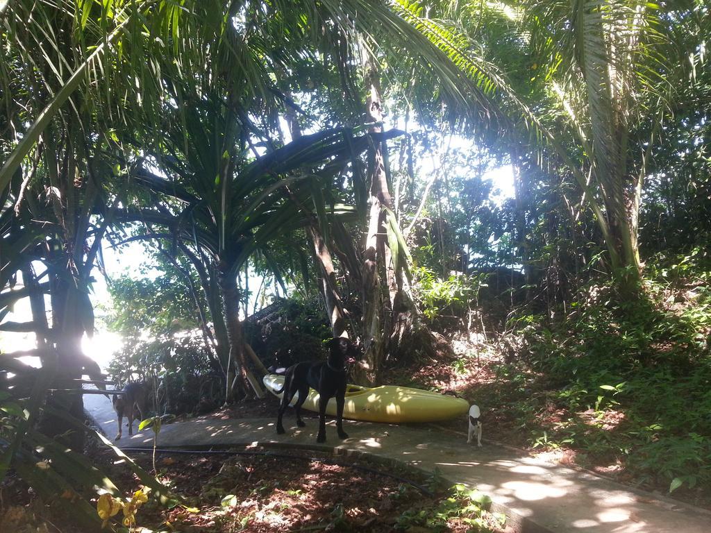Kim'S Garden Anda (Visayas) Exterior foto