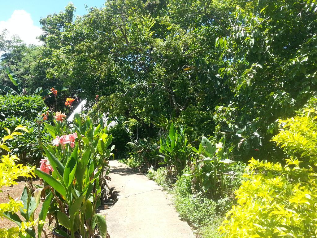 Kim'S Garden Anda (Visayas) Exterior foto
